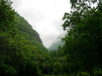 chaodaRibeirared
