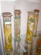 Museu 4